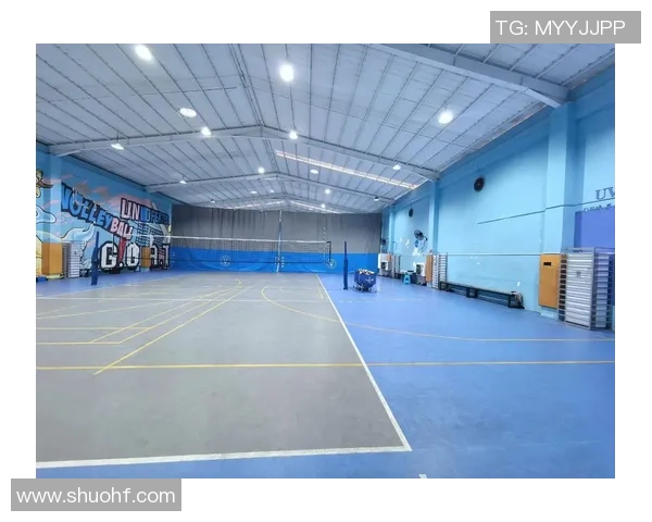 广州排球队实力提升引发热议展望未来发展新机遇 广州排球队实力提升引发热议展望未来发展新机遇